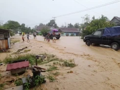 Total 14 Warga Meninggal Dunia Akibat Banjir dan Longsor di Kabupaten Luwu